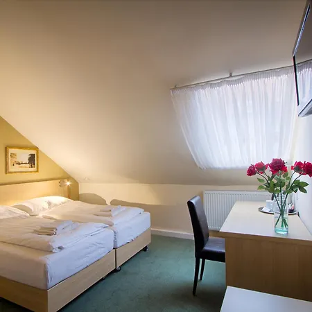 Taurus 4*