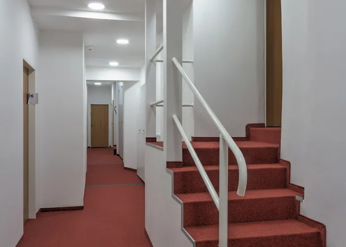 酒店 金牛座酒店 4*